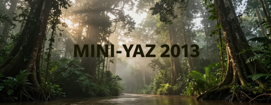 Arawamba par Sunkmanitu