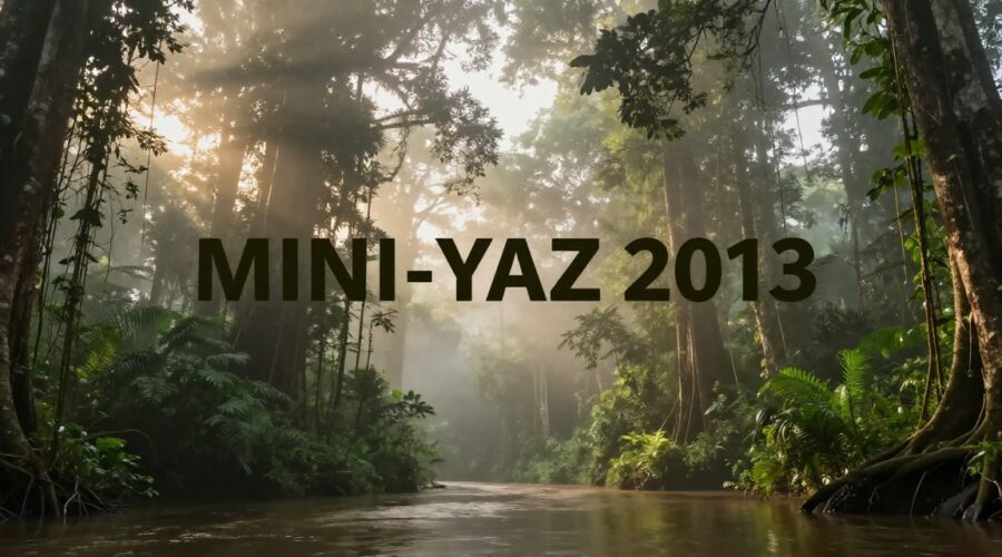 Arawamba par Sunkmanitu