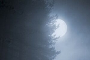 Une nuit dans les montagnes : le thriller interactif où vous êtes seule face à l’obscurité