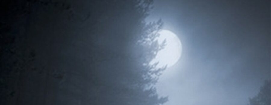 Une nuit dans les montagnes : le thriller interactif où vous êtes seule face à l’obscurité