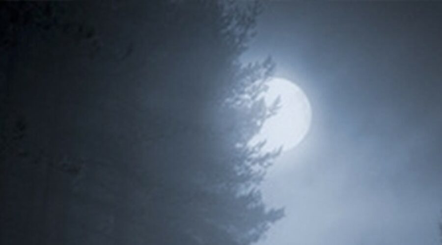 Une nuit dans les montagnes : le thriller interactif où vous êtes seule face à l’obscurité