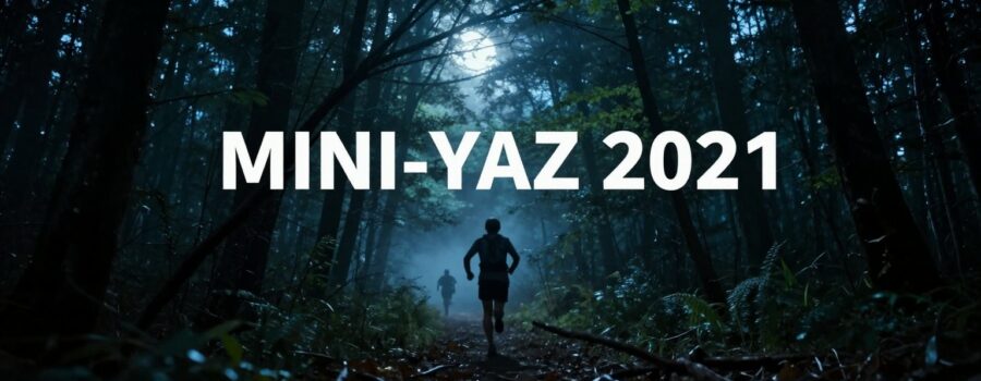 Des ombres – par Gwalchmei