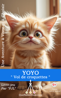 Couverture LDVEH Yoyo - Vol de croquettes 