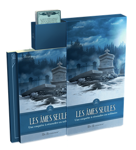 Couverture du livre-jeu Les âmes seules par Gwalchmei